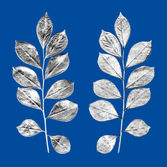 True myrtle leaf (Myrtus communis) front and back in three colors
