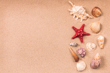 Fototapeta na wymiar starfish and beautiful shells on the sand, background for travel advertising, lettering, text, banner