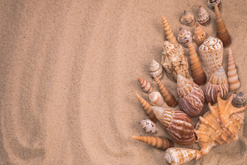 beautiful beige seashells on the sand, background for travel advertising, lettering, text, banner