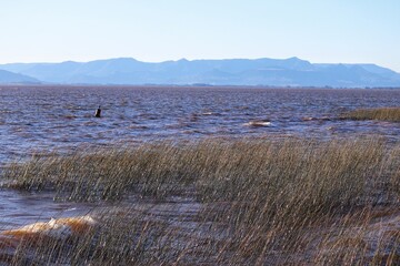 Photograph recorded at the Nautical Park - Lagoa dos Quadros in Capão da Canoa in Rio Grande do Sul, Brazil.