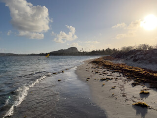 A sail surfer takes to the water at sunset from a beach in the West Indies with red toned seaweed...