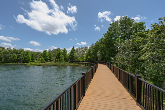 Lake Concord park boardwalk in Casselberry, Florida