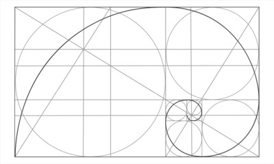 Golden ratio template. Logarithmic spiral in rectangle with circles and crossing lines. Nautilus shell shape. Fibonacci Sequence. Ideal symmetry proportions grid. Vector outline illustration