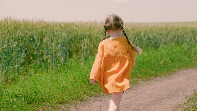 Child runs through field of wheat. Happy family. Daughter plays, day.Happy child, girl runs waving her hands in green grass. Children's game in summer. Happy little girl dreams of flying in nature