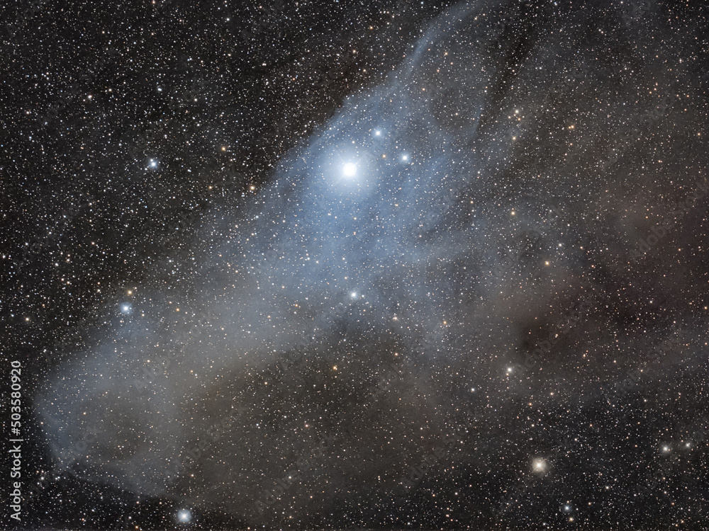 Wall mural ic4592 blue horsehead reflection nebula in scorpius from christchurch, new zealand, august 2021. (1h