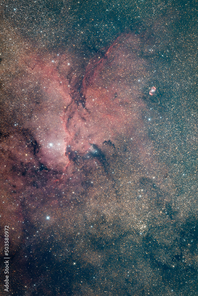 Wall mural ngc6196/ngc6188 open cluster and nebula (mid-left) and ngc6164 star with emission nebula (upper-righ