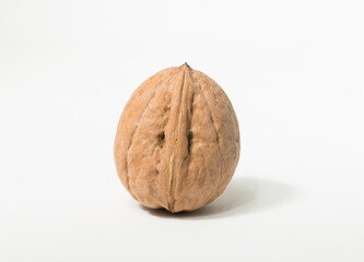 Walnuts are rounded, single-seeded stone fruits of the walnut tree.