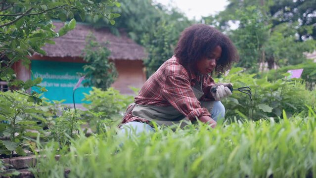 Young woman farmer shoveling the vegetable plot, agriculture concept