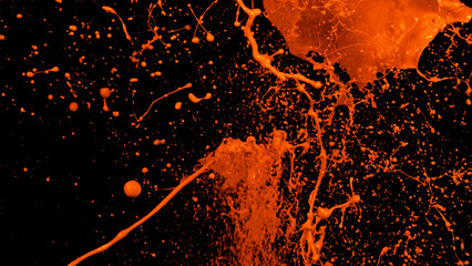 Fototapeta na wymiar Orange liquid splashes, swirl and waves with scatter drops. Royalty high-quality free stock of paint, oil or ink splashing dynamic motion, design elements for advertising isolated on black background