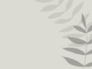 植物の葉の影が映る壁の背景