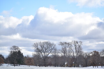 Winter Over Como Park in Minnesota