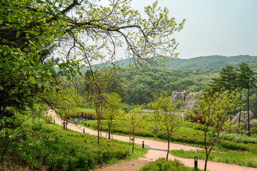 Fototapeta na wymiar Chomakgol Eco Park green nature scenery in Gunpo, Korea