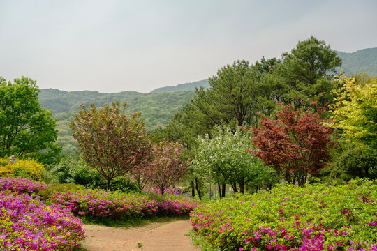 Spring of Chomakgol Eco Park in Gunpo, Korea