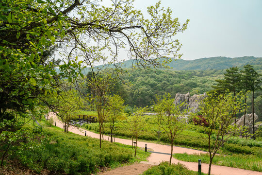 Chomakgol Eco Park green nature scenery in Gunpo, Korea