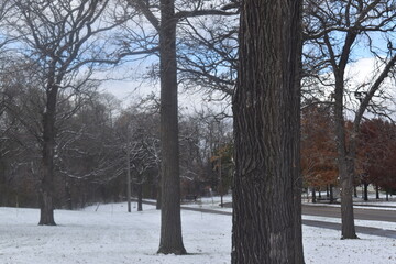 Winter Over Como Park in Minnesota