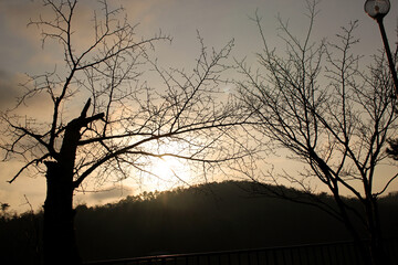 山際から顔を出す太陽の写真 日の出 静か