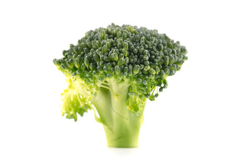 Broccoli broccoli on a white background