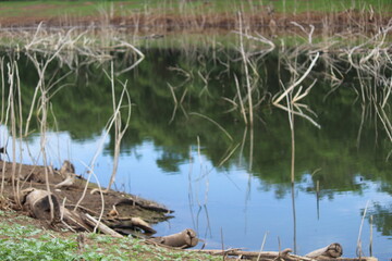 lake
