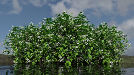 Shot of flowers blooming nature scene 3D rendering wallpaper backgrounds