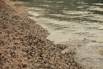 rocky beach in montenegro in the city of kotor