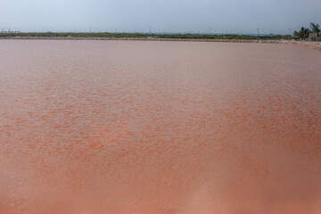 R&iacute;o Lagartos lagoon,Mexico ,Yucat&aacute;n, pink lagoon,Las Coloradas,Tours in Mexico,