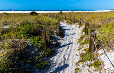 Trail Leading to the White Sand of Siesta Key Beach, Siesta Key, Florida, USA - obrazy, fototapety, plakaty