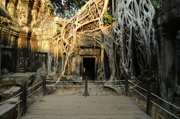 Angkor Wat temple complex, Cambodia. Beautiful view of the ruins of the ancient TA Prohm temple,...