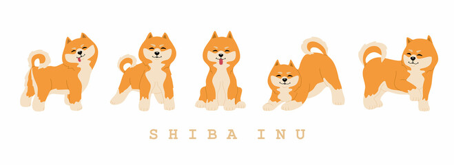 Set of cute shiba inu dogs in different poses. Funny japanese smiling animals. Hand drawn colored vector illustration isolated on white background. Modern trendy flat cartoon style.