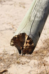 Broken wooden pole, sandy background