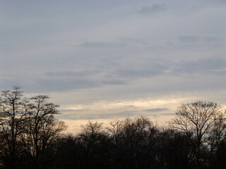 Sunset with trees and clouds