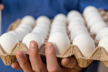 Man holding chicken eggs in a cardboard tray. Raw white chicken eggs in an open recycled tray.