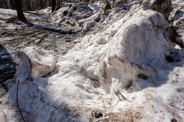 Dirty snow bank. Frozen snowdrift mixed with earth. Winter day. Environmental pollution. Cleaning, clearing streets from snow