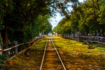 Fototapeta premium Paisaje otoñal