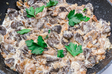 Fried morel mushrooms in sour cream sauce, close-up