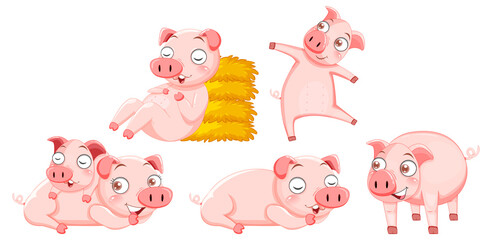 Set of cute pig cartoon characters