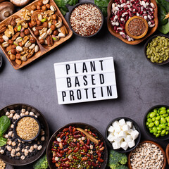 Variety of vegan, plant based protein food, legumes, lentils, beans
