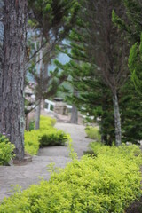 Naklejka premium path in the park