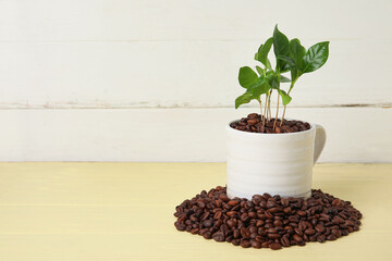 Cup with coffee tree and beans on table