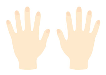 パーの状態に開いた両手の甲