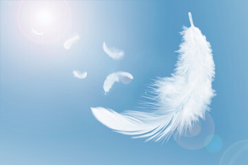 White Fluffy Feathers Floating in the Sky. Swan Feathers Flying in Heavenly.	
