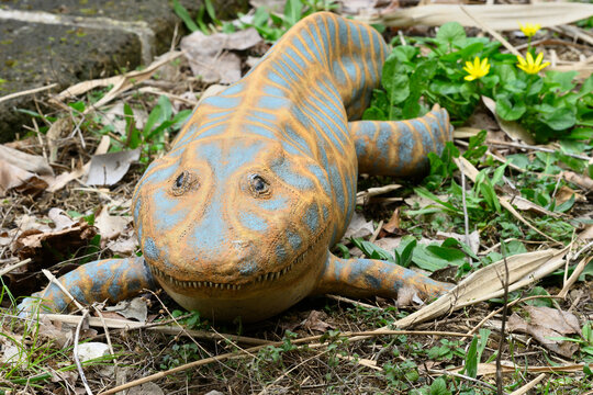 Reconstruction Of A Devonian Amphibian Ichthyostega