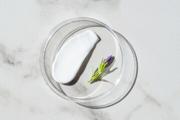 White cosmetic face cream or body lotion moisturizer strokes on marble background in petri dish. Hygiene, skincare product with creamy texture. Beauty face creme smear swatch with flower