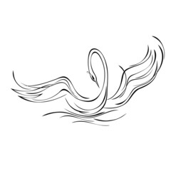 swan 46. stylized graceful Swan floating on the water. Graphic illustration in black lines on a white background