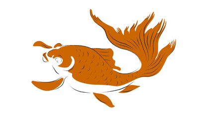 fish illustration