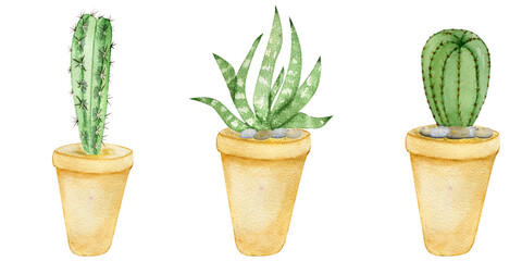 Watercolor illustration set of cactus in pots