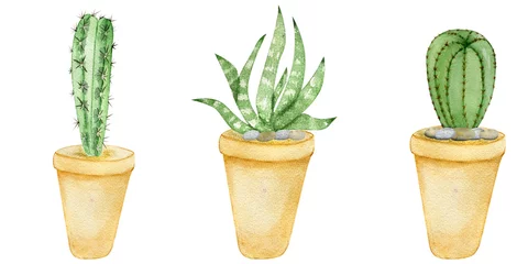 Foto op Plexiglas Cactus in pot Aquarel illustratie set van cactus in potten