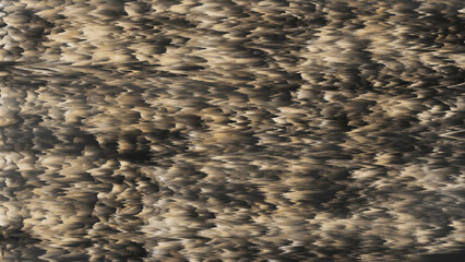 Brown Abstract Texture Background , Pattern Backdrop Wallpaper