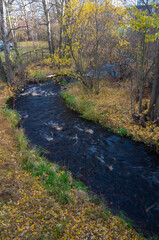 small winding river in an autumn park