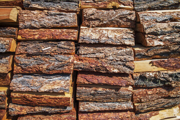 Natural texture of woodpile from coniferous trees. Pine firewood stacked on top of each other on a sunny day. Preparation of natural fuel.