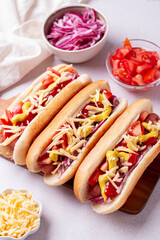 Homemade hotdogs with sausage. onion, tomato and cheese on light gray background